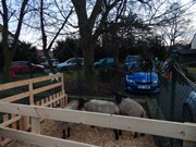 Rozsvícení stromečku - vánoce 2017